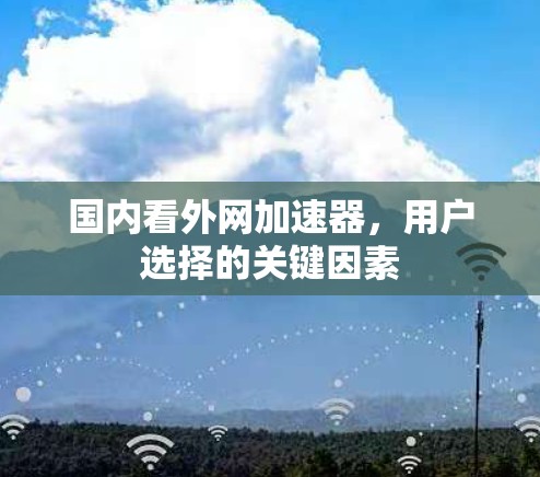 国内看外网加速器，用户选择的关键因素