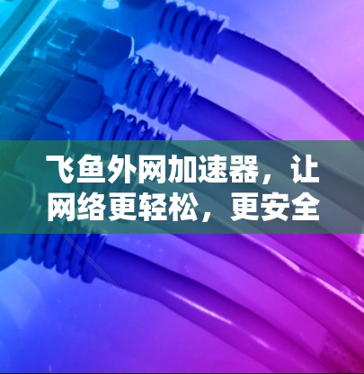 飞鱼外网加速器，让网络更轻松，更安全