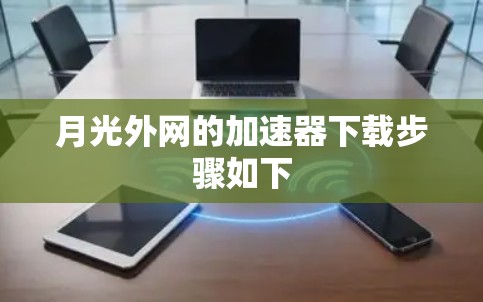 月光外网的加速器下载步骤如下