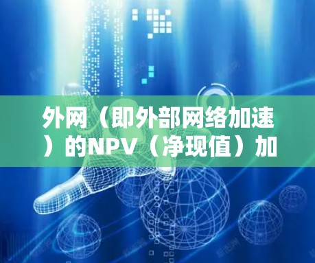 外网（即外部网络加速）的NPV（净现值）加速器价格因服务提供商、使用场景以及预算而异，通常需要根据具体情况来选择适合的套餐和定价。以下是一些常见的价格区间和特点，供参考