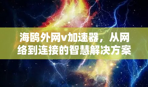 海鸥外网v加速器，从网络到连接的智慧解决方案