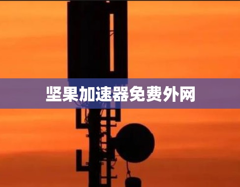 坚果加速器免费外网 坚果加速器免费外网