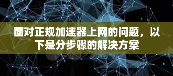 面对正规加速器上网的问题，以下是分步骤的解决方案