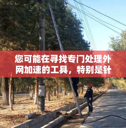 您可能在寻找专门处理外网加速的工具，特别是针对视频或网页加速的需求。以下是一些免费且可靠的选择，适合您的需求