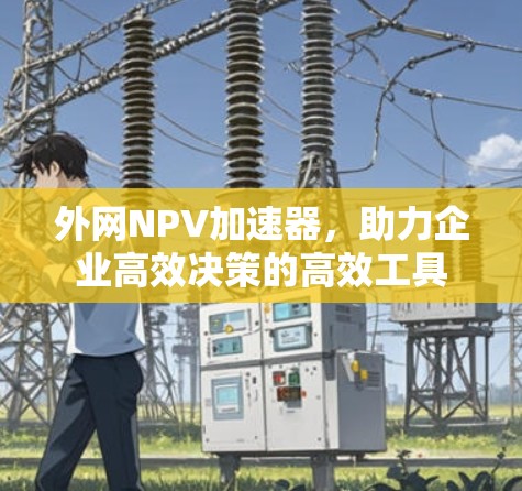 外网NPV加速器，助力企业高效决策的高效工具