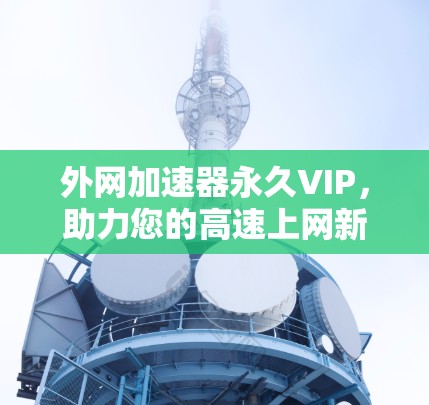外网加速器永久VIP，助力您的高速上网新体验