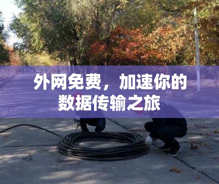 外网免费，加速你的数据传输之旅