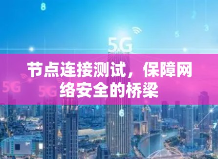 节点连接测试，保障网络安全的桥梁
