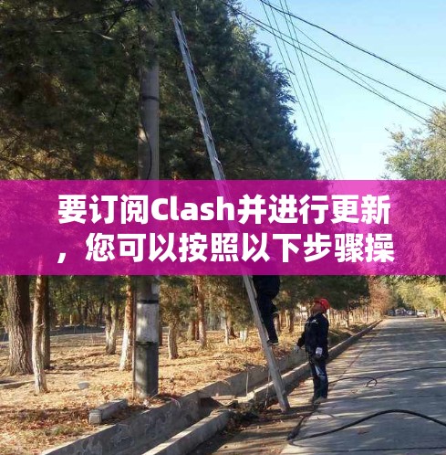 要订阅Clash并进行更新，您可以按照以下步骤操作