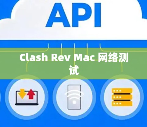 Clash Rev Mac 网络测试