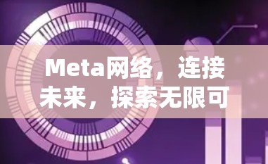 Meta网络，连接未来，探索无限可能