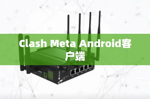 Clash Meta Android客户端