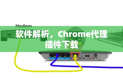 软件解析，Chrome代理插件下载