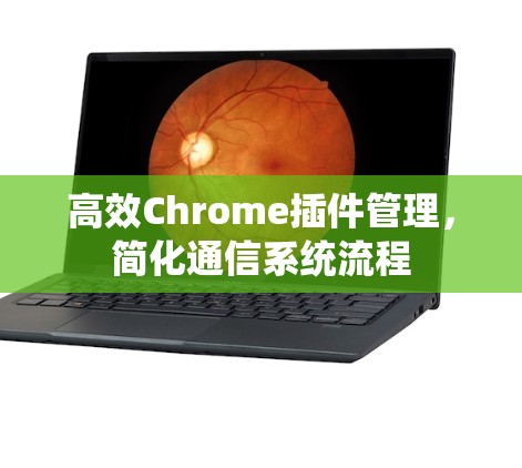 高效Chrome插件管理,简化通信系统流程 高效Chrome插件管理,简化通信系统流程
