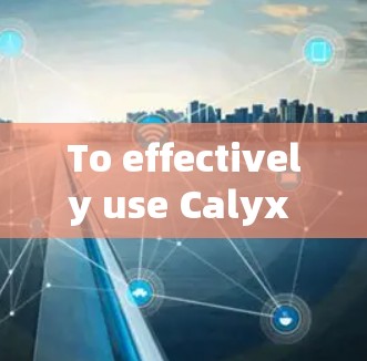 To effectively use Calyx VPN,follow these organized steps: To effectively use Calyx VPN,follow these organized steps: