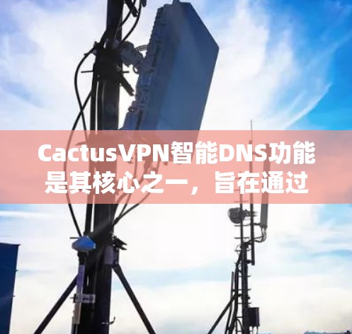 CactusVPN智能DNS功能是其核心之一，旨在通过自动调整IP地址和流量分配，优化用户在网络环境中的使用体验。以下是CactusVPN智能DNS的功能详细说明