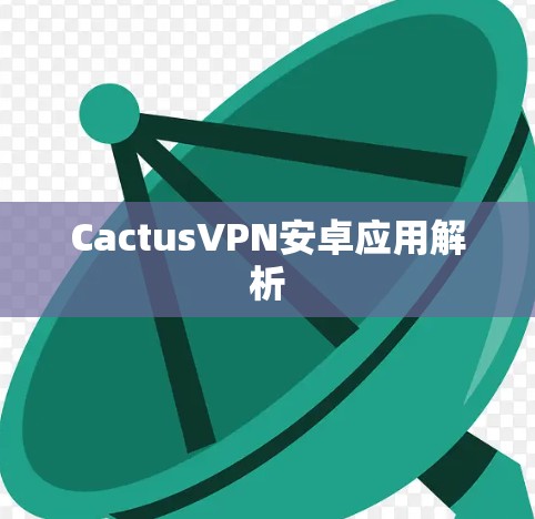 CactusVPN安卓应用解析