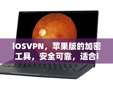 iOSVPN,苹果版的加密工具,安全可靠,适合iOS用户 iOSVPN,苹果版的加密工具,安全可靠,适合iOS用户
