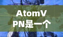 AtomVPN是一个基于HTTPS的安全网络VPN服务,它提供加密传输和低延迟的网络连接。以下是一些关于AtomVPN网络加速的详细信息 AtomVPN是一个基于HTTPS的安全网络VPN服务,它提供加密传输和低延迟的网络连接。以下是一些关于AtomVPN网络加速的详细信息