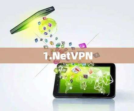 1.NetVPN 1.NetVPN