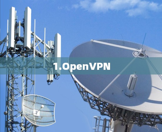 1.OpenVPN