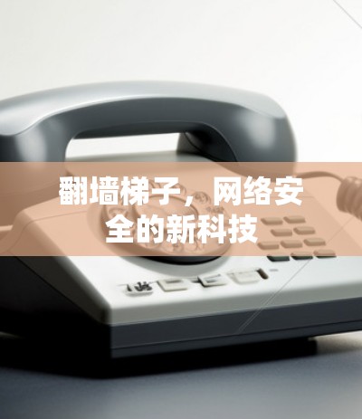 翻墙梯子，网络安全的新科技