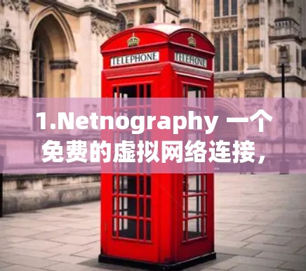 1.Netnography 一个免费的虚拟网络连接，适合远程办公和远程协作。下载地址，Netnography官网]https:www.netnography.com/