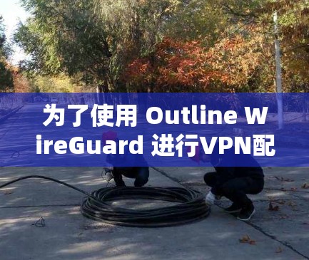 为了使用 Outline WireGuard 进行VPN配置，您可以按照以下步骤进行操作