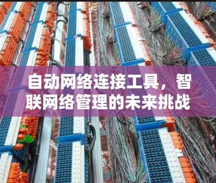 自动网络连接工具,智联网络管理的未来挑战与解决方案 自动网络连接工具,智联网络管理的未来挑战与解决方案