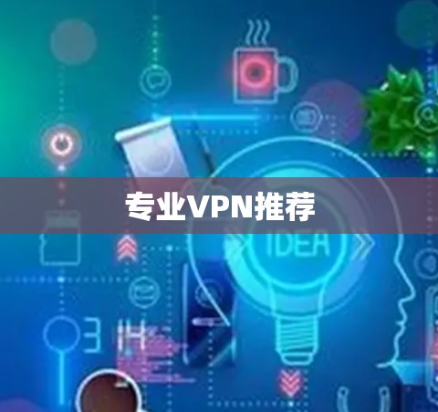 专业VPN推荐