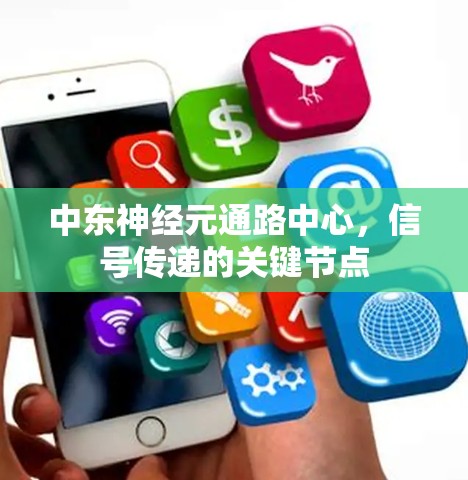 中东神经元通路中心,信号传递的关键节点 中东神经元通路中心,信号传递的关键节点
