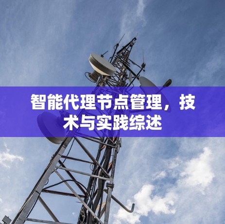 智能代理节点管理,技术与实践综述 智能代理节点管理,技术与实践综述