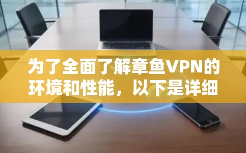 为了全面了解章鱼VPN的环境和性能，以下是详细的步骤和分析