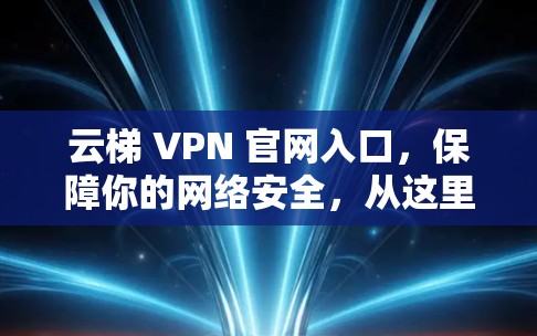 云梯 VPN 官网入口，保障你的网络安全，从这里开始