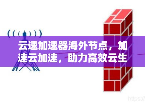 云速加速器海外节点,加速云加速,助力高效云生态 云速加速器海外节点,加速云加速,助力高效云生态