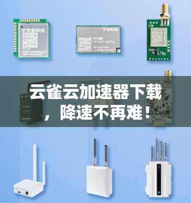 云雀云加速器下载,降速不再难! 云雀云加速器下载,降速不再难!