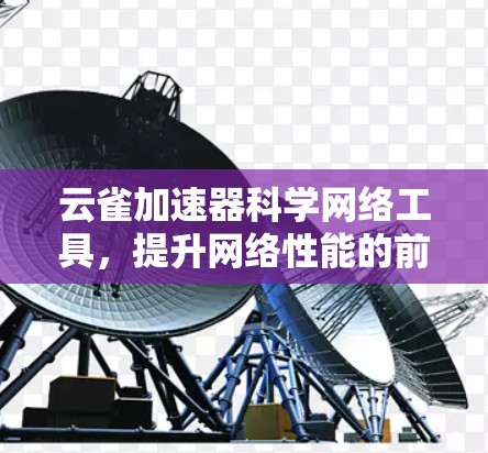 云雀加速器科学网络工具，提升网络性能的前沿解决方案