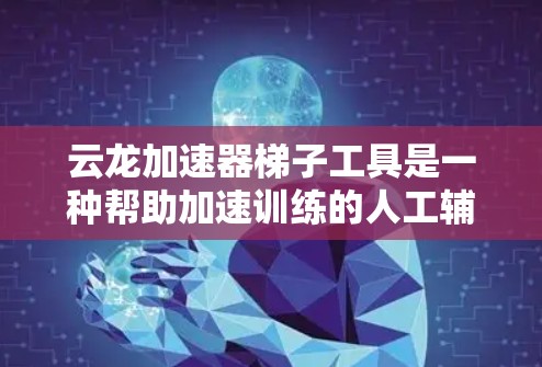 云龙加速器梯子工具是一种帮助加速训练的人工辅助工具，适合那些需要提高训练效率的人群。以下是对该工具的详细分析