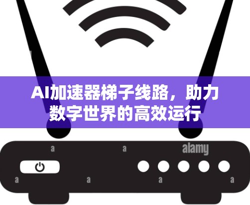 AI加速器梯子线路，助力数字世界的高效运行