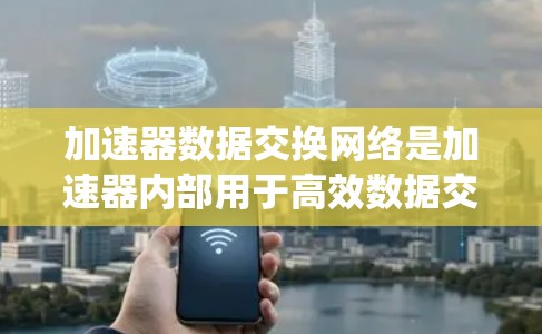 加速器数据交换网络是加速器内部用于高效数据交换和管理的关键系统，主要负责数据的传输、存储、处理和交换。以下是该网络的关键信息