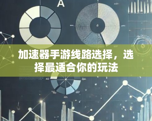 加速器手游线路选择,选择最适合你的玩法 加速器手游线路选择,选择最适合你的玩法