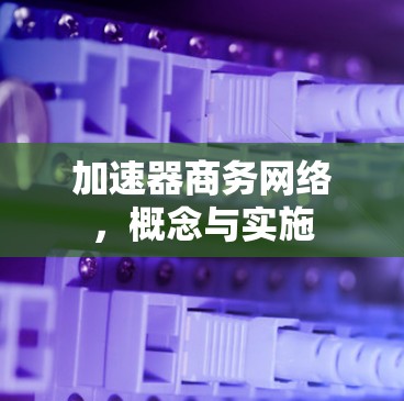加速器商务网络，概念与实施