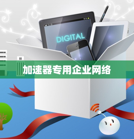 加速器专用企业网络 加速器专用企业网络
