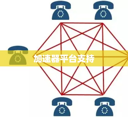 加速器平台支持