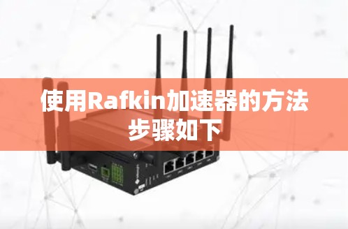 使用Rafkin加速器的方法步骤如下 使用Rafkin加速器的方法步骤如下