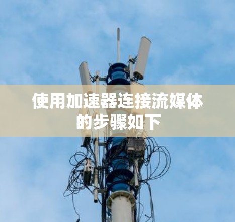 使用加速器连接流媒体的步骤如下 使用加速器连接流媒体的步骤如下