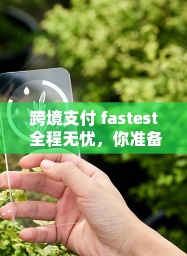跨境支付 fastest 全程无忧，你准备好了吗？