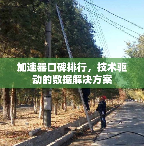 加速器口碑排行，技术驱动的数据解决方案