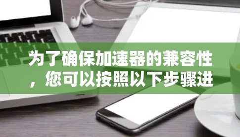 为了确保加速器的兼容性，您可以按照以下步骤进行检查和优化
