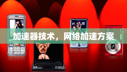 加速器技术，网络加速方案